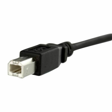 USB-Kabel Startech USBPNLBFBM1 USB B Schwarz