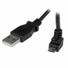 USB-Kabel auf micro-USB Startech USBAUB2MU Schwarz