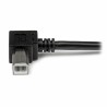 USB A zu USB-B-Kabel Startech USBAB2MR Schwarz