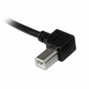 USB A zu USB-B-Kabel Startech USBAB3ML Schwarz