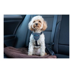 Hundegeschirr Company of Animals CarSafe Schwarz S