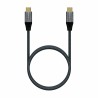 Kabel USB C Aisens A107-0634 2 m Grau