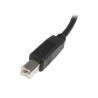 USB A zu USB-B-Kabel Startech USB2HAB2M Schwarz