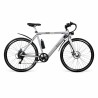 Elektrisches Fahrrad Youin BK1500 NEW YORK 29" 250W Grau 250 W 7800 mAh 29"