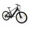 Elektrisches Fahrrad Alfa Romeo FULL Schwarz 250 W 13000 mAh 29"