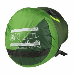 Schlafsack Regatta v2 250 grün