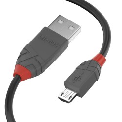 USB-Kabel LINDY 36733 2 m Schwarz