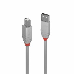 USB A zu USB-B-Kabel LINDY 36682 Grau