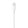 Lichtkabel Apple ME291ZM/A 50 cm Weiß