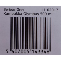 Thermosflasche Kambukka Olympus Edelstahl 500 ml