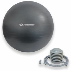 Medizinball Schildkröt Grau (MPN S7198682)