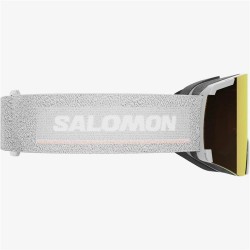 Skibrille Salomon S/View Grau