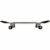 Skate 180 Complete Tony Hawk Shatter Rot 7.75"