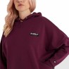 Damen Sweater mit Kapuze Ellesse Semprevisa grün Aubergine