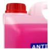 Frostschutzmittel OCC Motorsport 50% Bio Rosa (5 L)